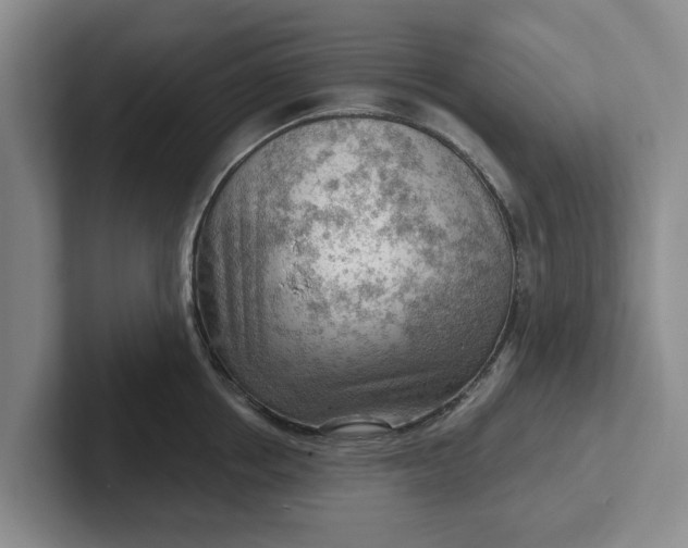 X0000102280858200808081501