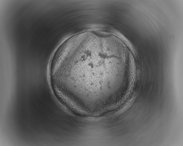 X0000102280859200808081501