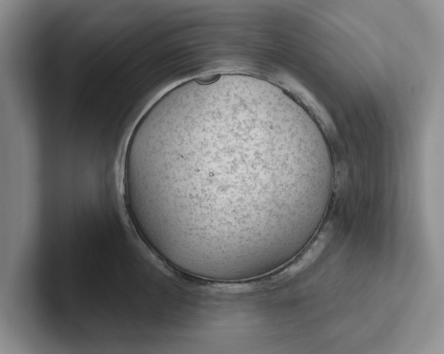 X0000102280860200808081501