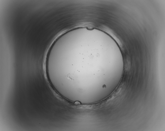 X0000102280861200808081501