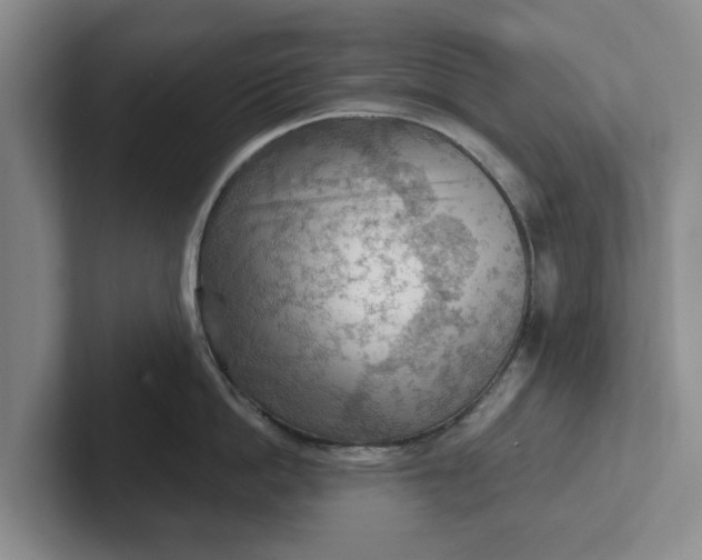 X0000102280862200808081501