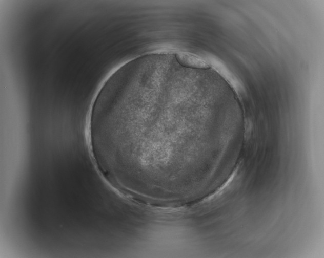 X0000102280863200808081501