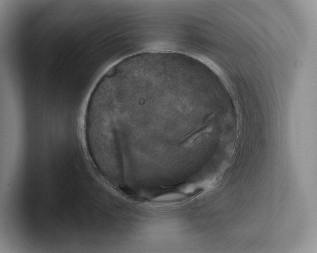 X0000102280864200808081501