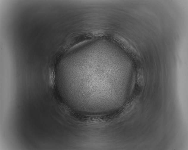 X0000102280866200808081500