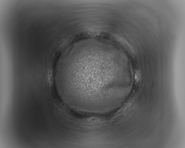 X0000102280867200808081500