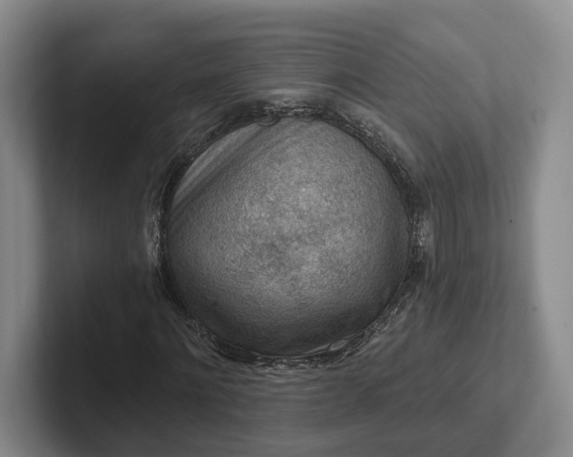 X0000102280868200808081500