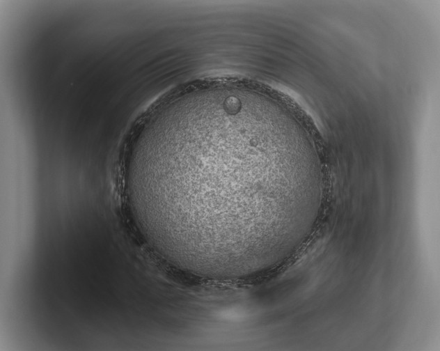 X0000102280871200808081500