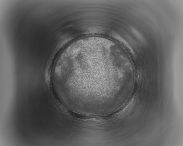 X0000102280874200808081500