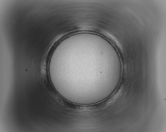 X0000102280875200808081500