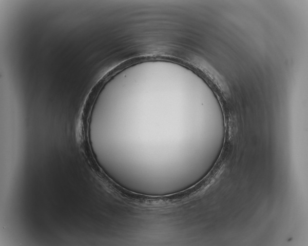 X0000102280876200808081500