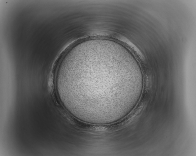 X0000102280878200808081500