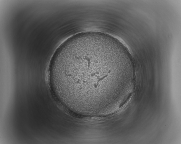 X0000102280879200808081500