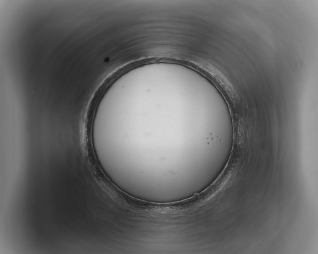 X0000102280880200808081500