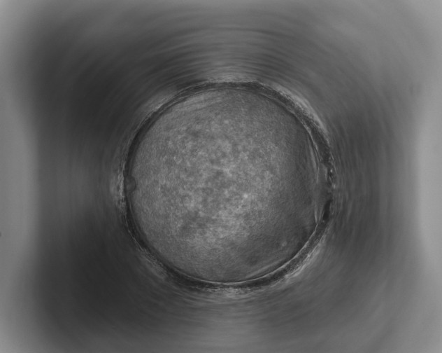 X0000102280881200808081500