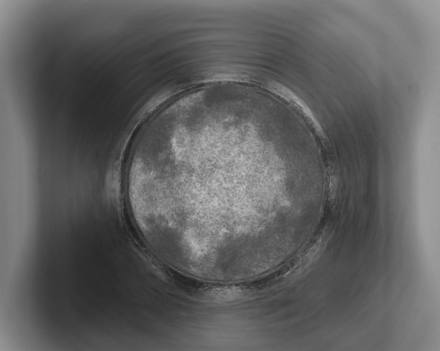 X0000102280882200808081500