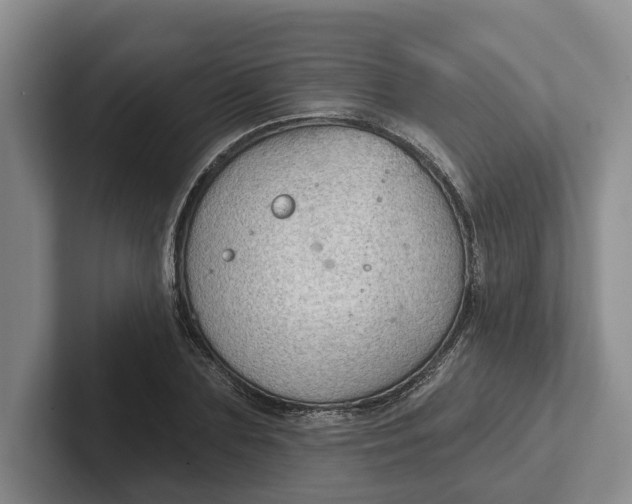 X0000102280883200808081500