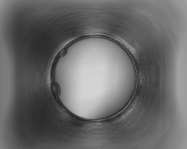 X0000102280885200808081500