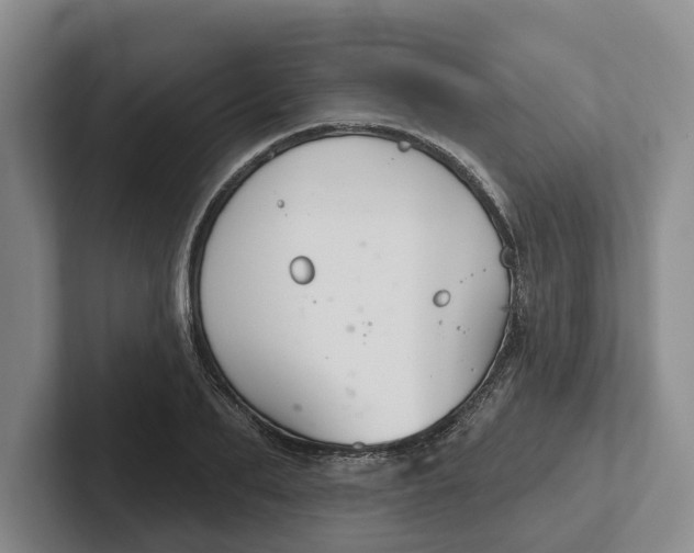 X0000102280887200808081500