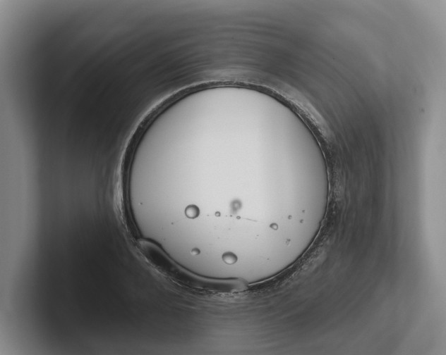 X0000102280888200808081500