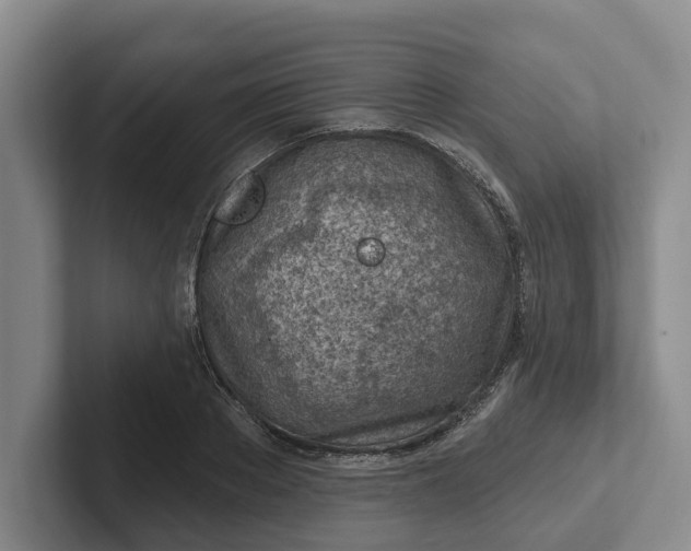 X0000102280889200808081500