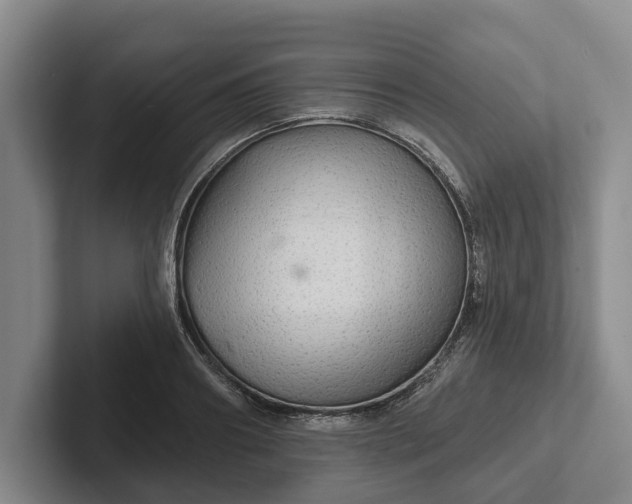 X0000102280890200808081500