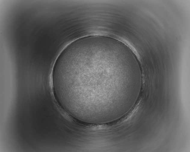 X0000102280891200808081500