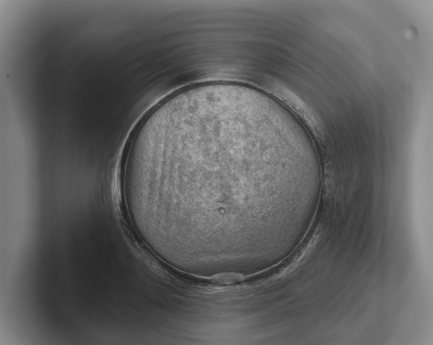 X0000102280892200808081500