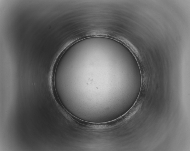 X0000102280893200808081500