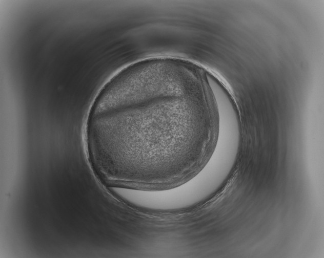 X0000102280895200808081500