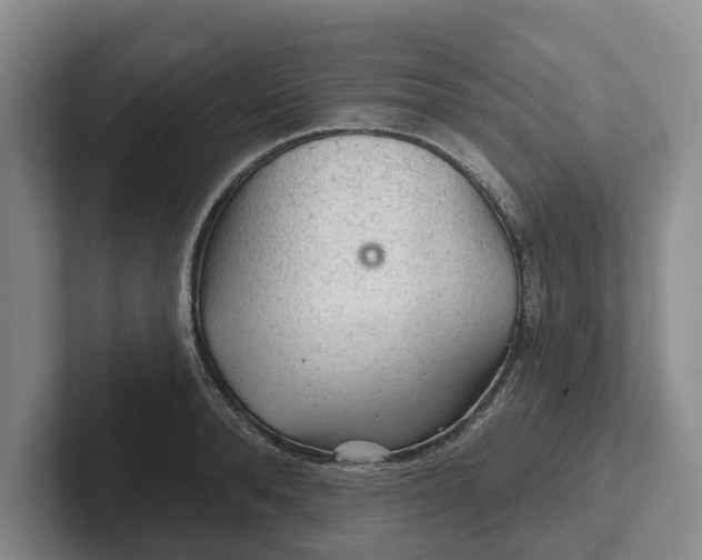 X0000102280896200808081500