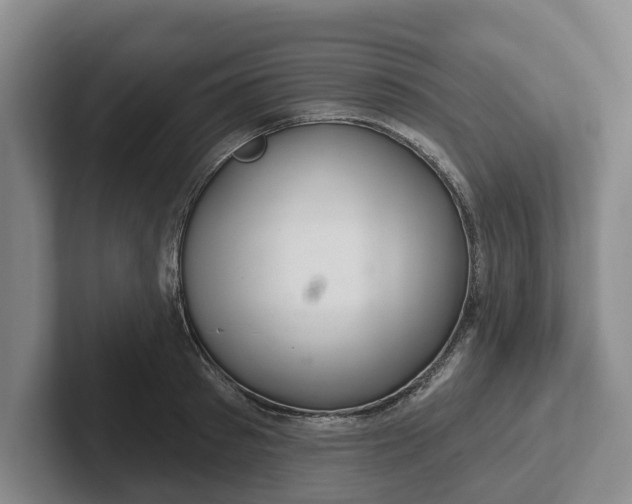 X0000102280897200808081500