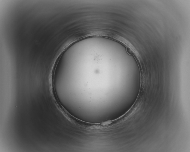 X0000102280898200808081500