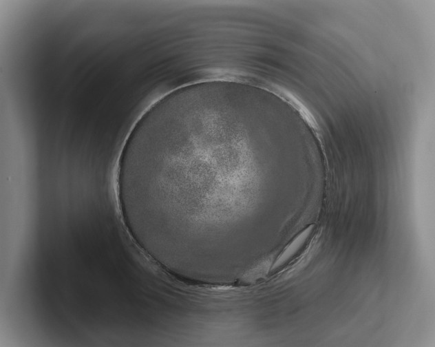 X0000102280899200808081500