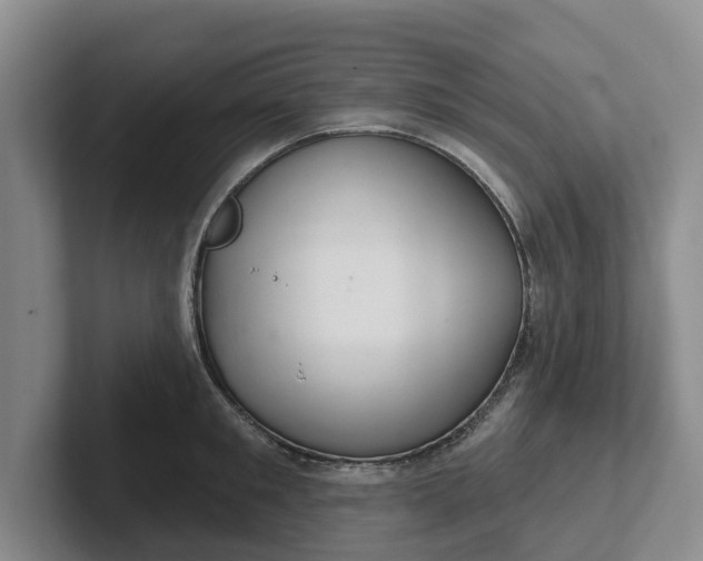 X0000102280901200808081500