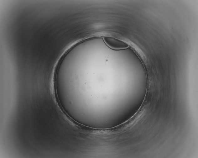 X0000102280902200808081500