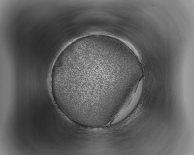 X0000102280903200808081500