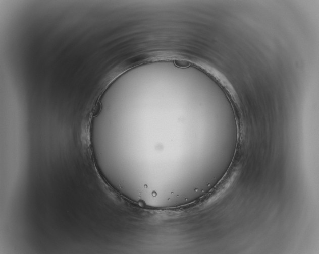 X0000102280905200808081500