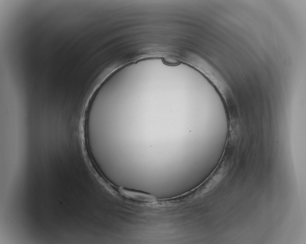 X0000102280906200808081500