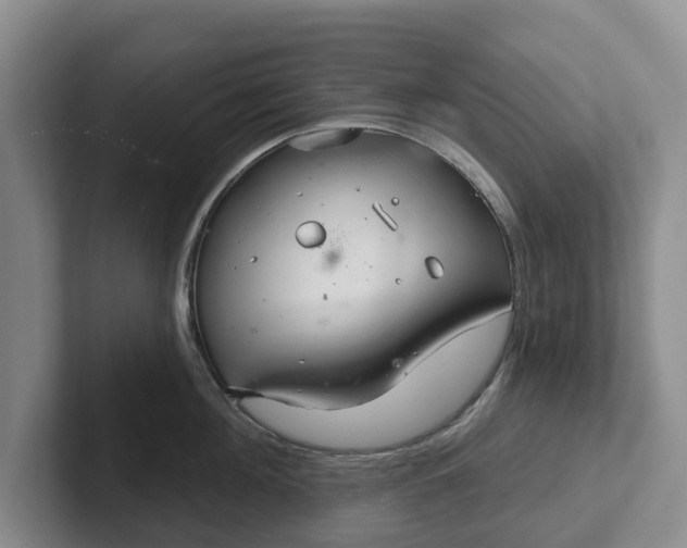 X0000102280908200808081500