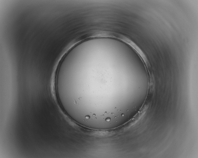 X0000102280909200808081459