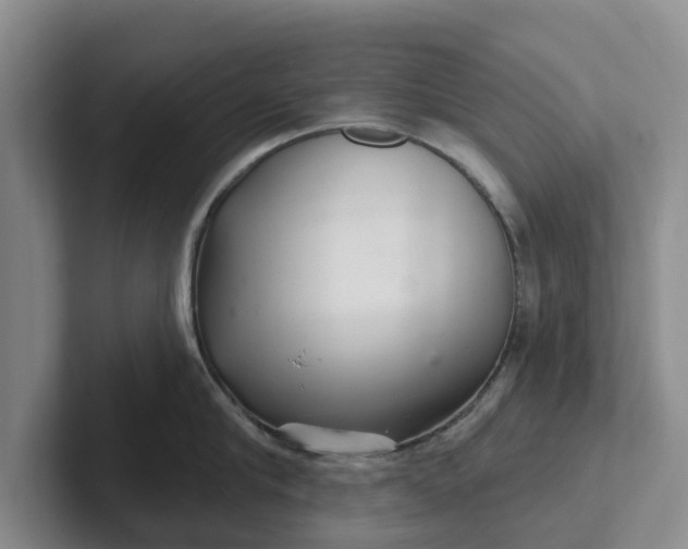 X0000102280910200808081459