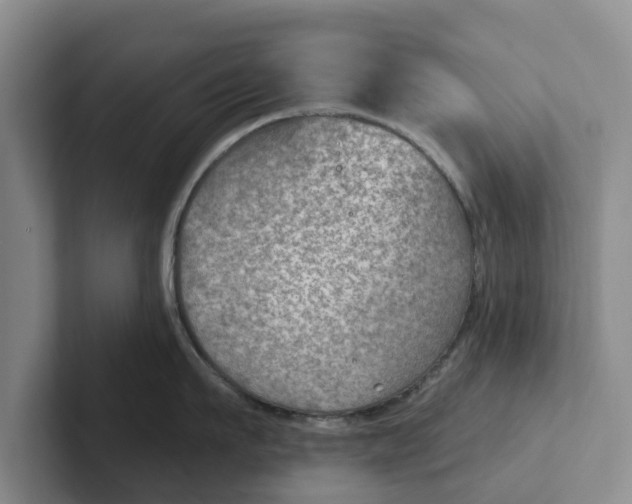 X0000102280911200808081459