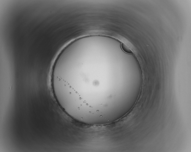 X0000102280912200808081459