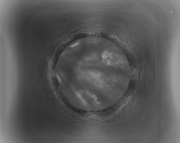 X0000102280913200808081459