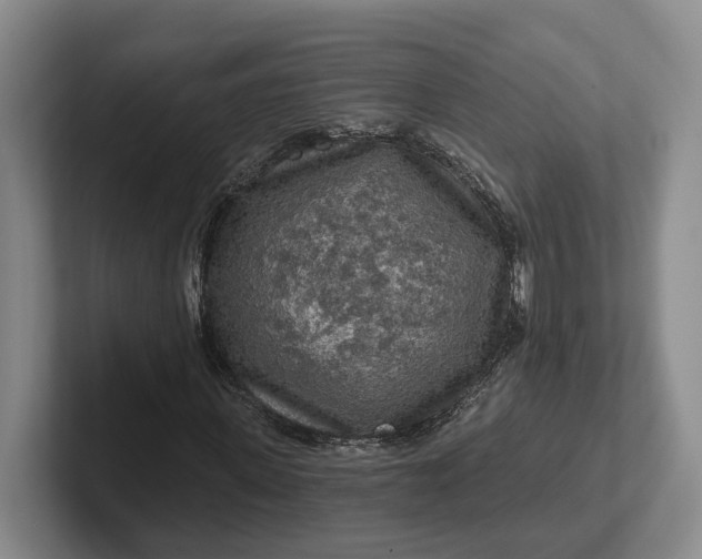 X0000102280915200808081459