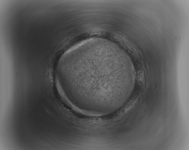 X0000102280916200808081459