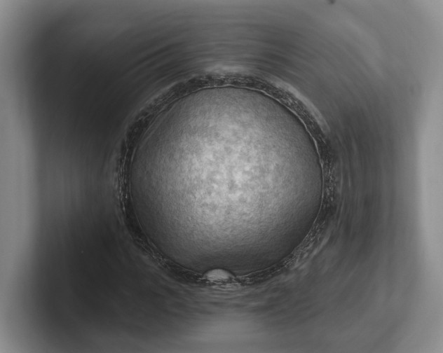 X0000102280919200808081459