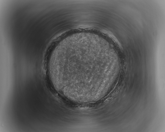 X0000102280920200808081459