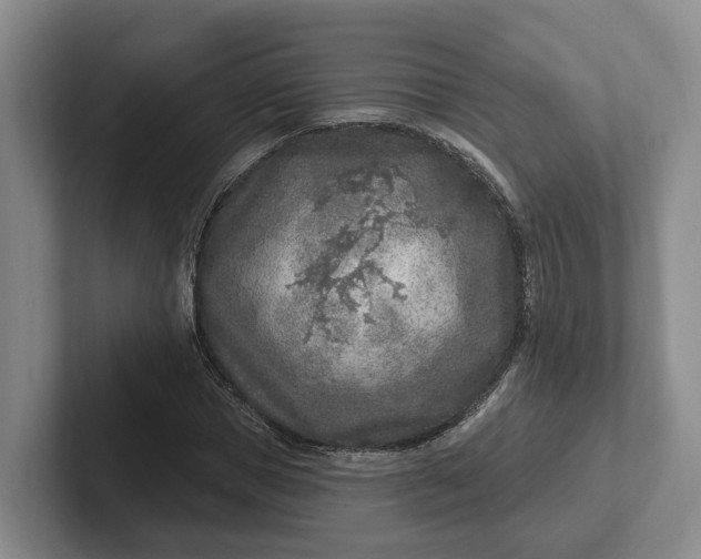 X0000102280921200808081459