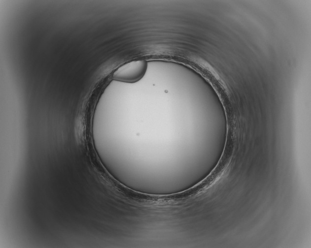 X0000102280922200808081459